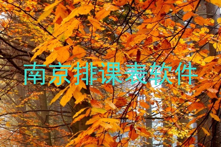 南京排课表软件