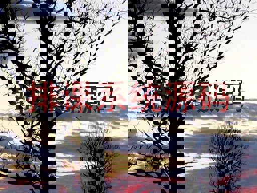 排课系统源码