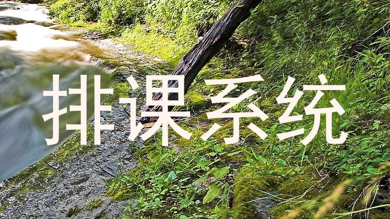 排课系统