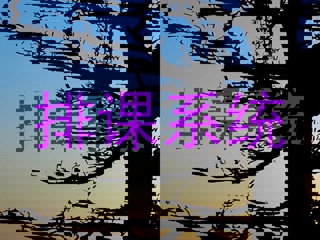 排课系统