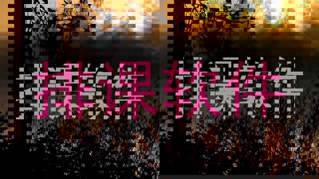 排课软件