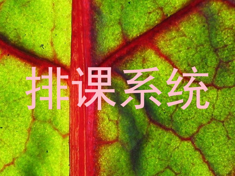 排课系统