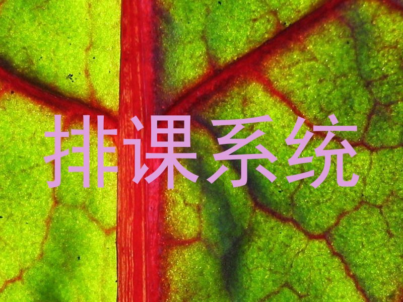 排课系统