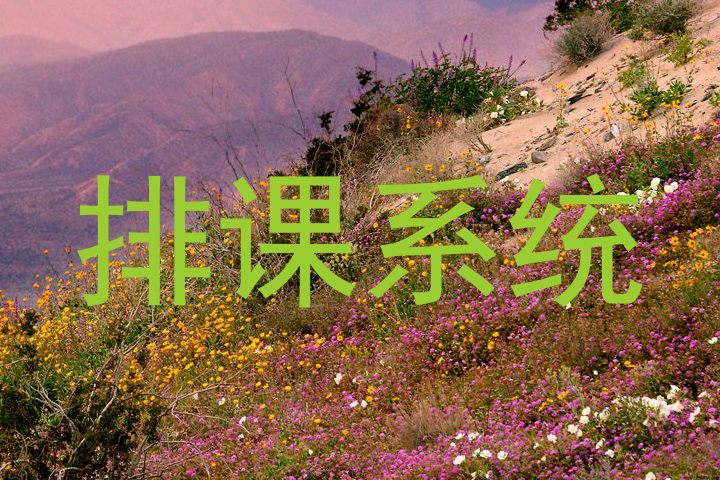 排课系统