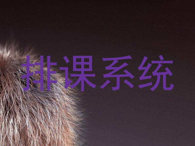 排课系统