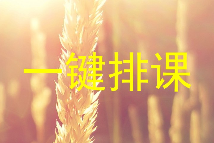 一键排课