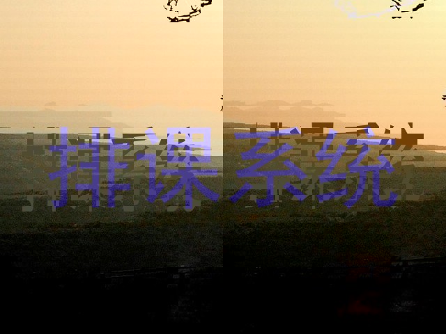 排课系统
