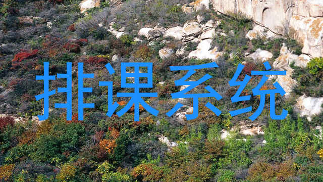 排课系统