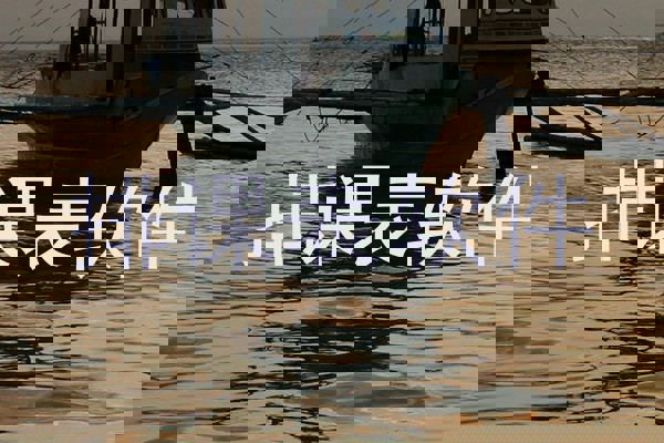 排课表软件