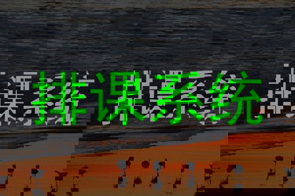 排课系统