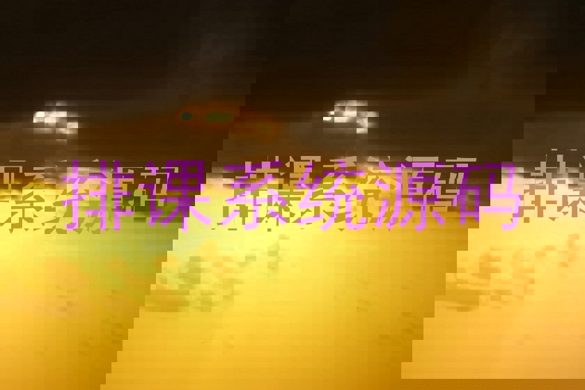 排课系统源码