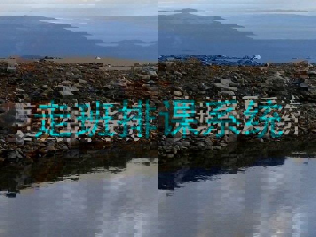 走班排课系统