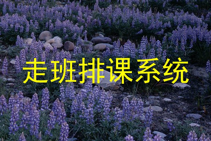 走班排课系统