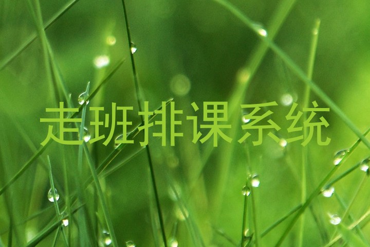 走班排课系统