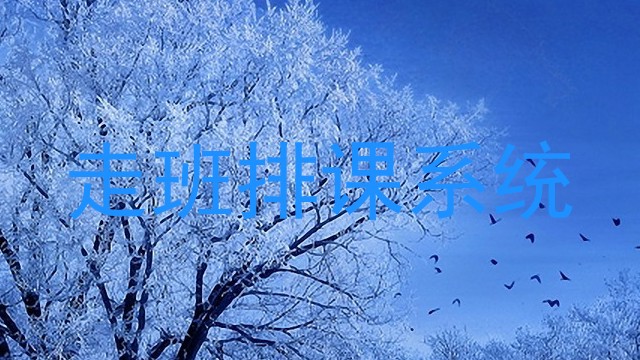 走班排课系统
