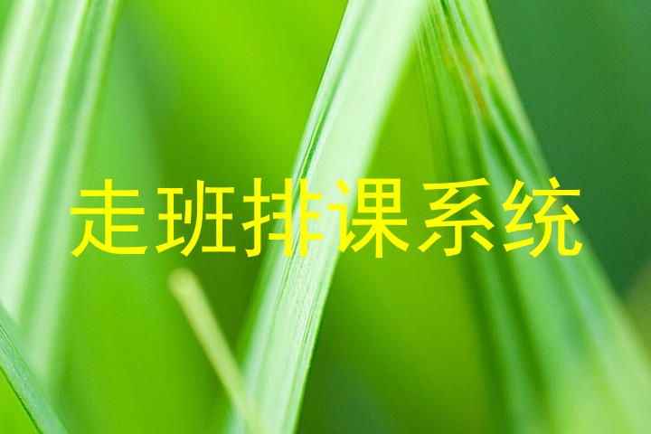 走班排课系统