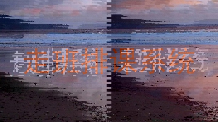 走班排课系统