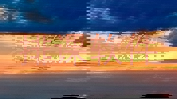 排课软件