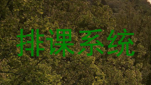 排课系统