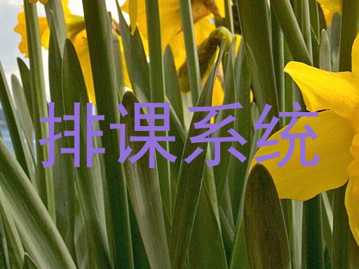 排课系统