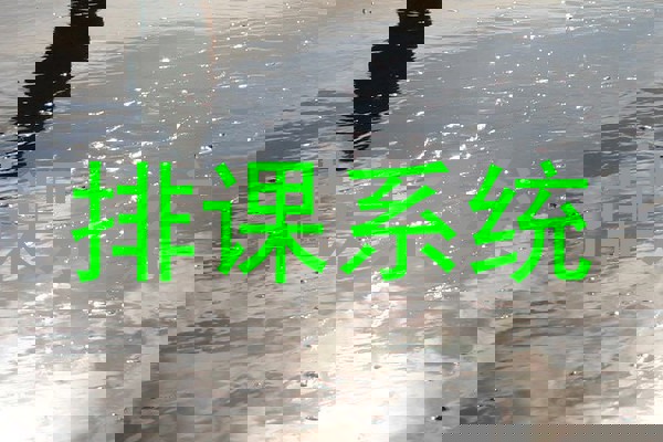 排课系统