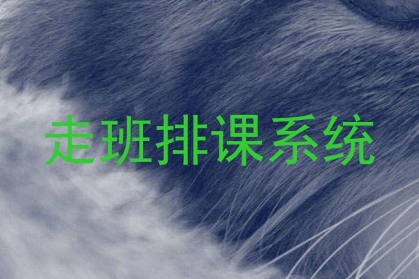 走班排课系统