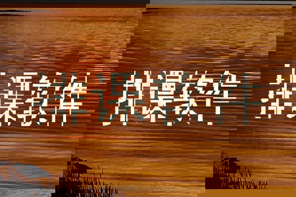 排课软件