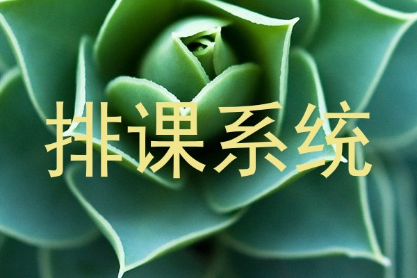 排课系统