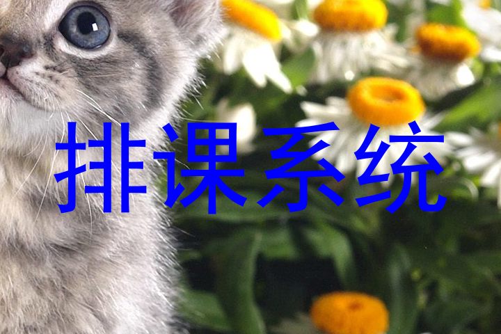 排课系统