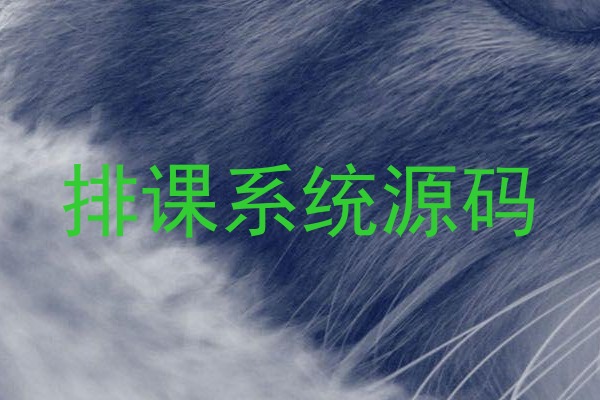 排课系统源码