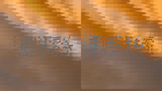 走班排课系统