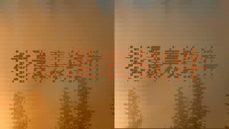 排课表软件