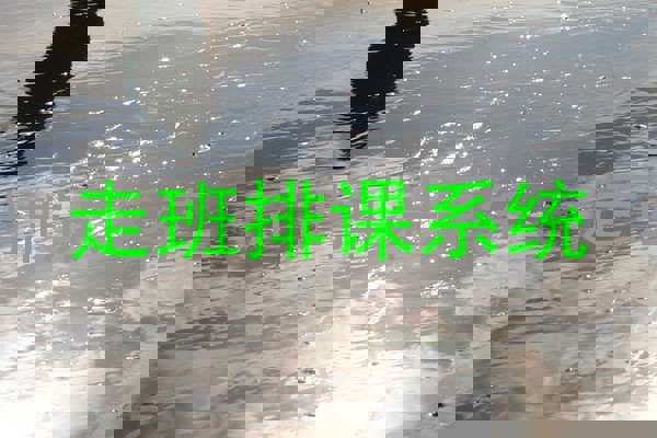 走班排课系统