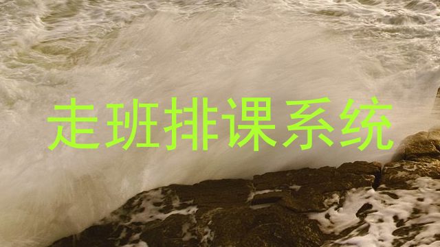 走班排课系统