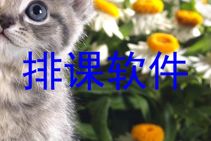 排课软件