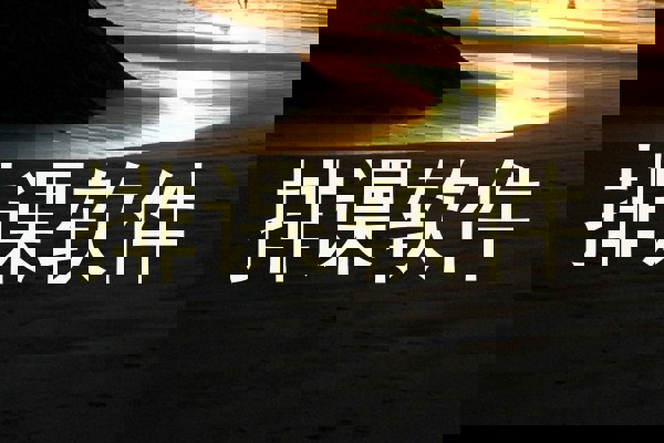 排课软件
