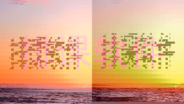 排课软件