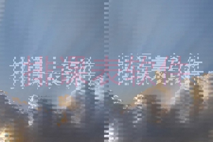 排课表软件