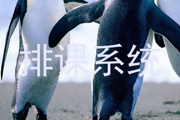 排课系统