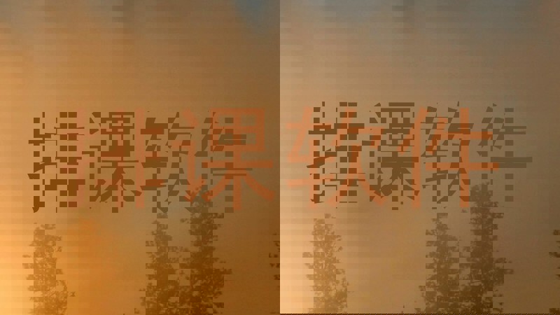 排课软件