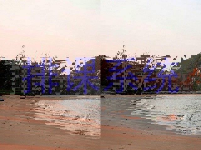 排课系统