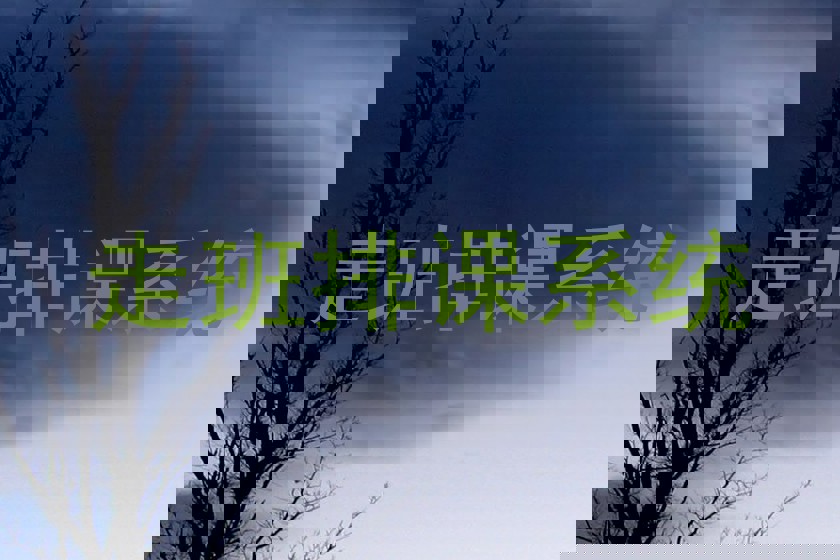 走班排课系统