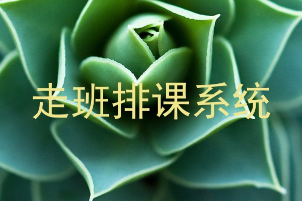 走班排课系统