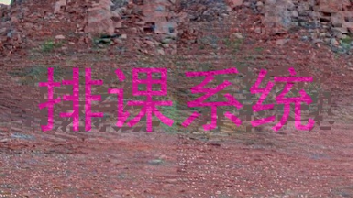 排课系统