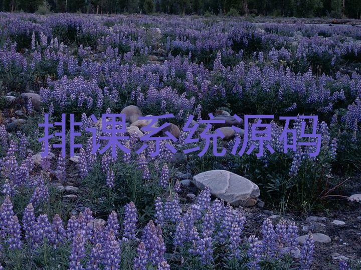 排课系统源码