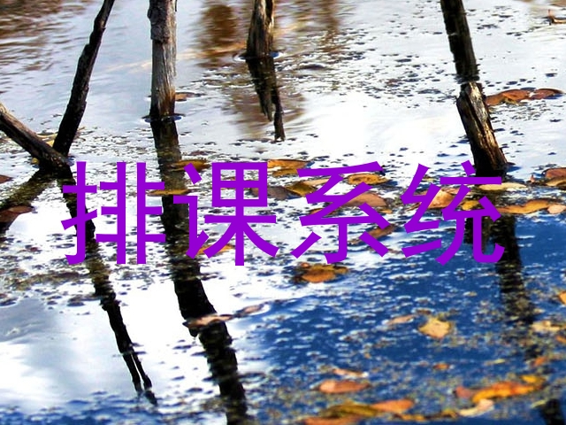 排课系统