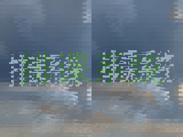 排课系统