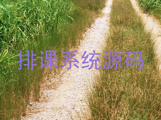 排课系统源码