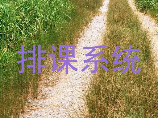 排课系统