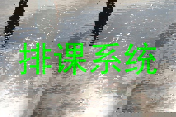排课系统